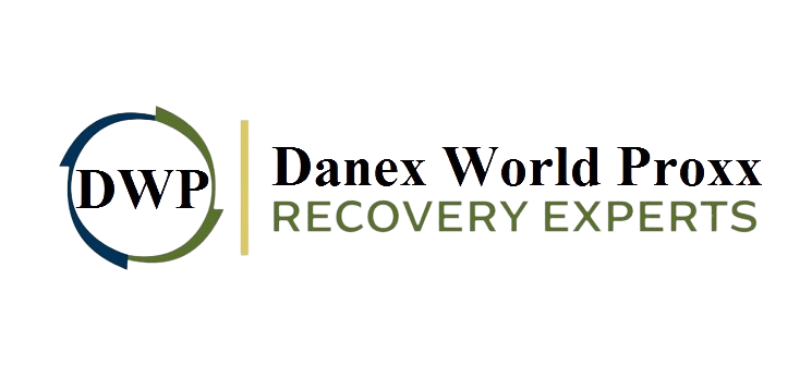 DanexWorldProxx INC.